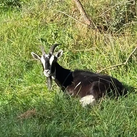 Ferienhaus Nad Krzyworzeka