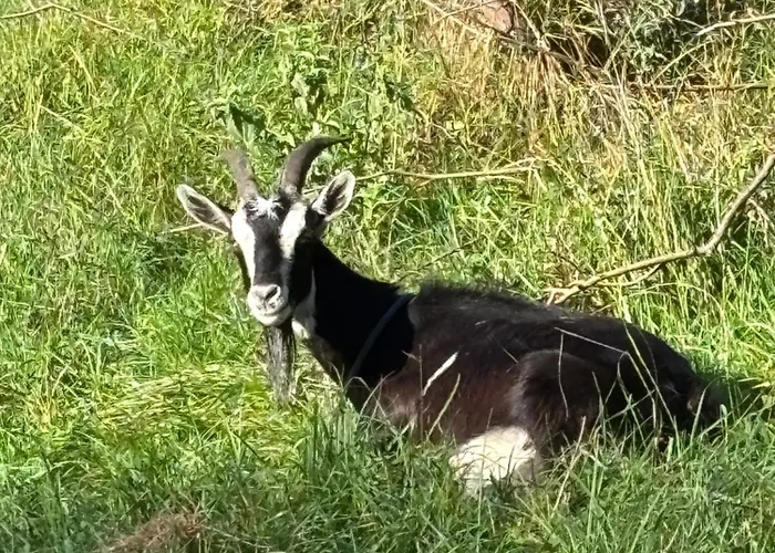 Сasa de vacaciones Nad Krzyworzeka